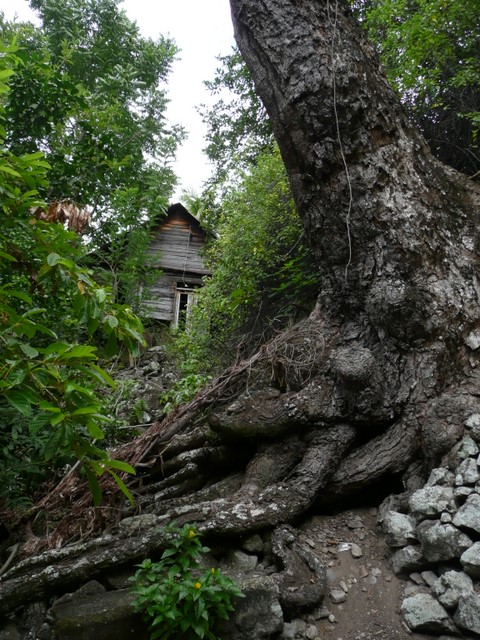 Maison sur le flanc