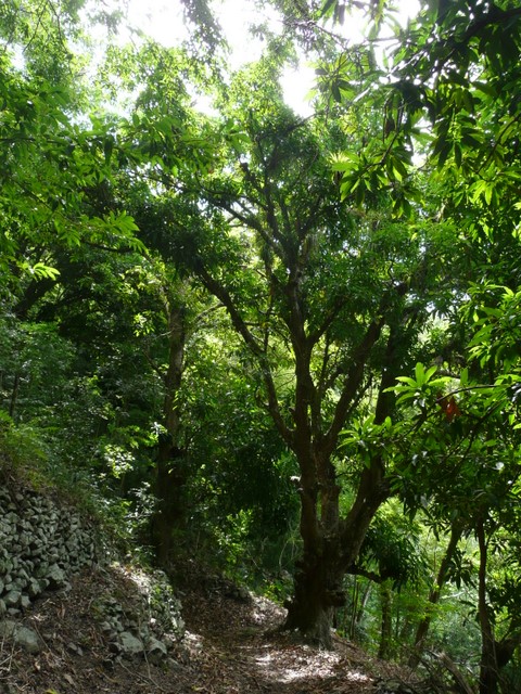 Sentier (2)