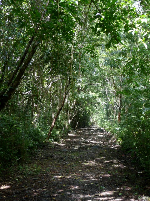 Trail