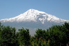 IMG 01